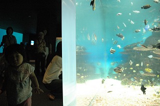 suizokkukann050717 (2).jpg